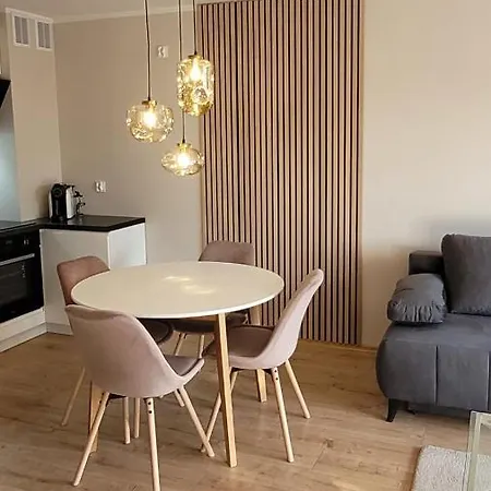 Apartment Sloneczny Z Ogrodkiem -bezplatny Parking *